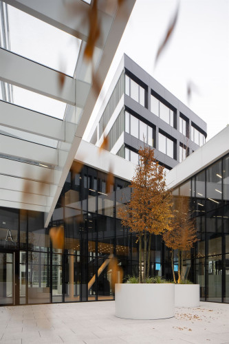 Květináče beze dna pro výsadbu stromů