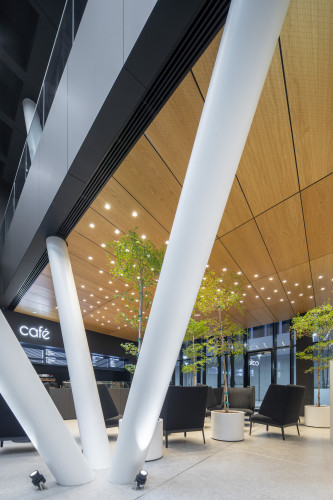 Květináče beze dna pro výsadbu stromů