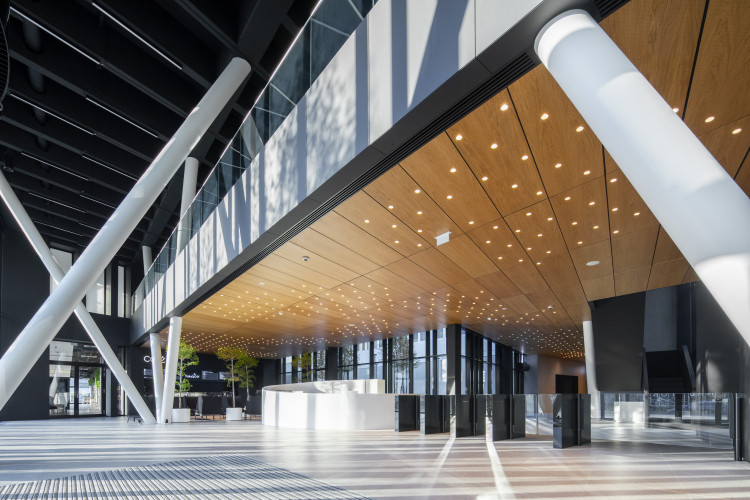 Květináče beze dna pro výsadbu stromů