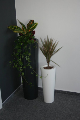 Sada kónických designových květináčů