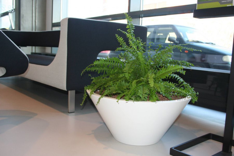 Sada kónických designových květináčů