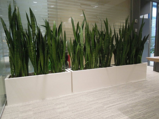 Sklolaminátové květináče v bílém lesku