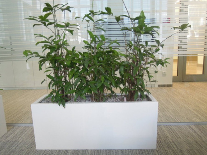 Sklolaminátové květináče v bílém lesku