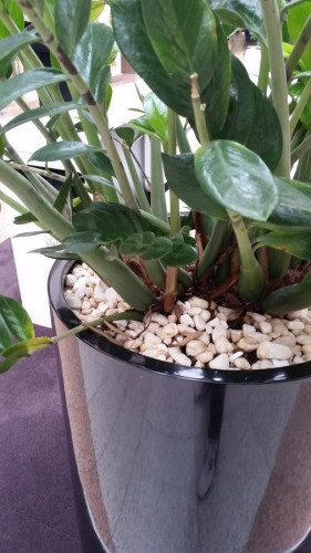 Květináče do interiéru obchodního centra