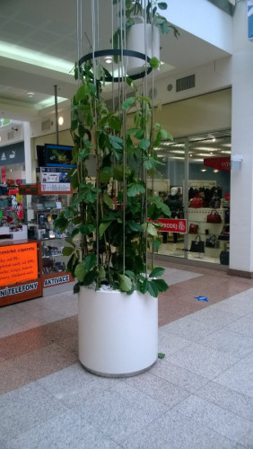 Květináče do interiéru obchodního centra