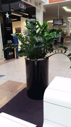 Květináče do interiéru obchodního centra