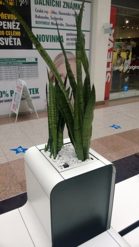Květináče do interiéru obchodního centra