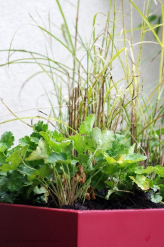 Sklolaminátové květináče na míru