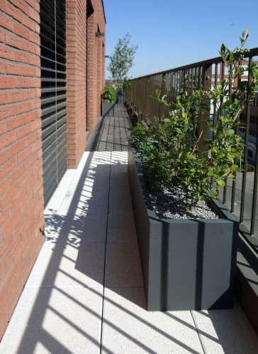 Velké květináče na terase bytu