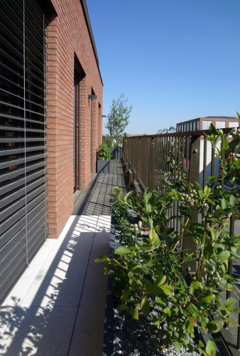 Velké květináče na terase bytu