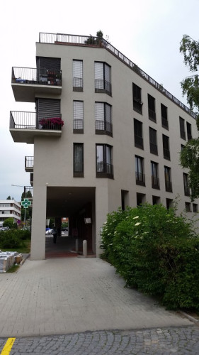 Velké květináče na terase bytu