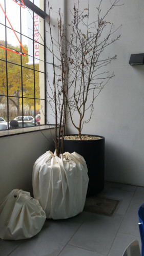 Neobvyklý antracitový květináč