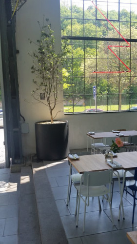 Mobilní květináč v restauraci