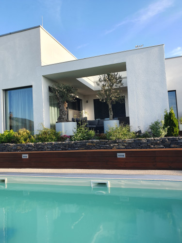 Květináče s olivovníky na moderní terase