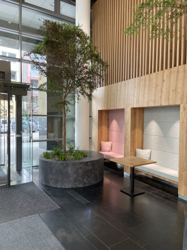 Interiérové květináče pro kancelářské prostory