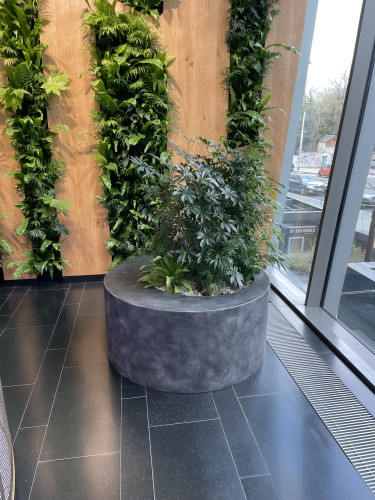 Interiérové květináče pro kancelářské prostory