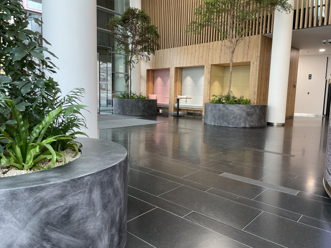 Interiérové květináče pro kancelářské prostory