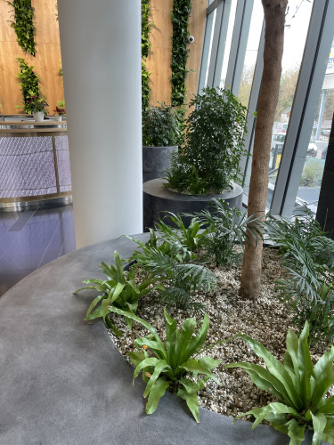 Interiérové květináče pro kancelářské prostory