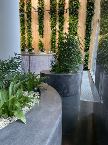 Interiérové květináče pro kancelářské prostory