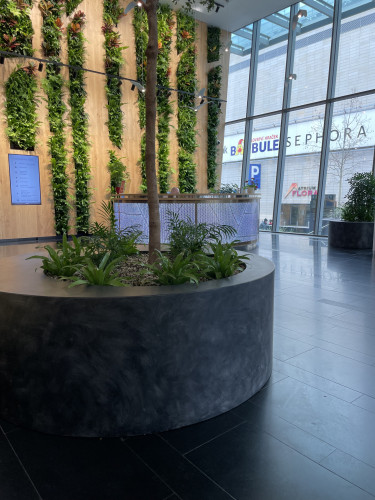 Interiérové květináče pro kancelářské prostory