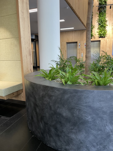 Interiérové květináče pro kancelářské prostory