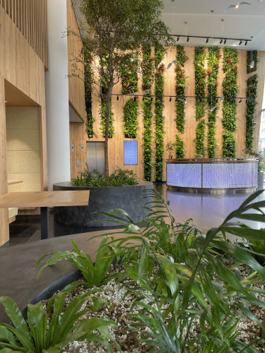 Interiérové květináče pro kancelářské prostory