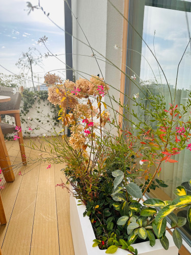 Květináče na terase bytového domu
