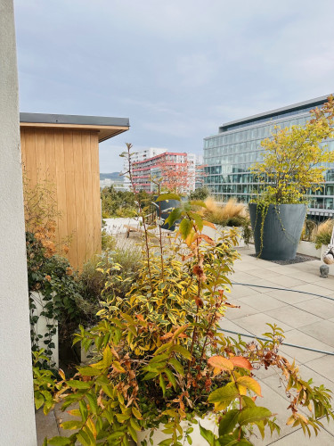 Květináče na terase bytového domu