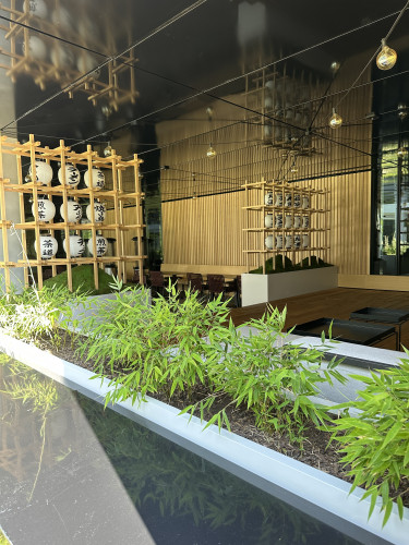 Designové květináče v interiéru restaurace