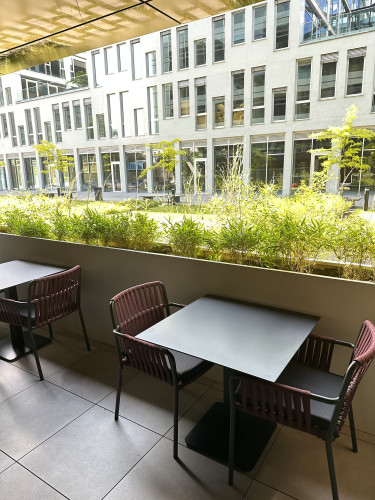 Designové květináče v interiéru restaurace