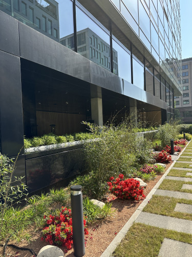 Designové květináče v interiéru restaurace