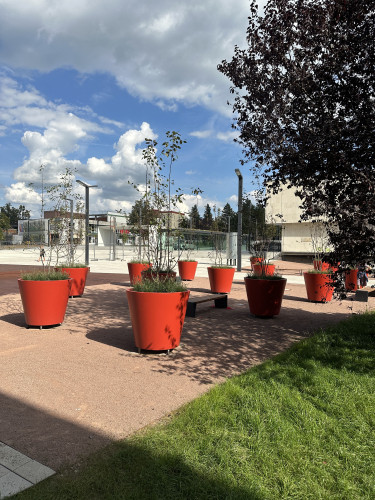 Designové květináče doplňující veřejný prostor