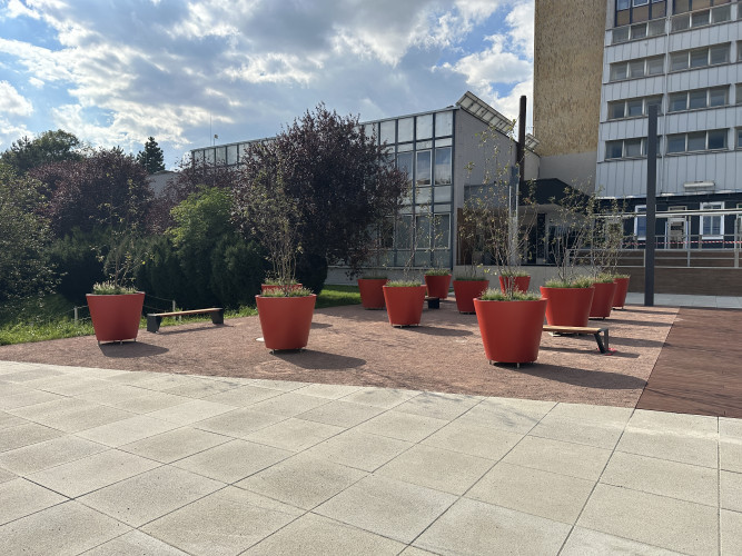 Designové květináče doplňující veřejný prostor