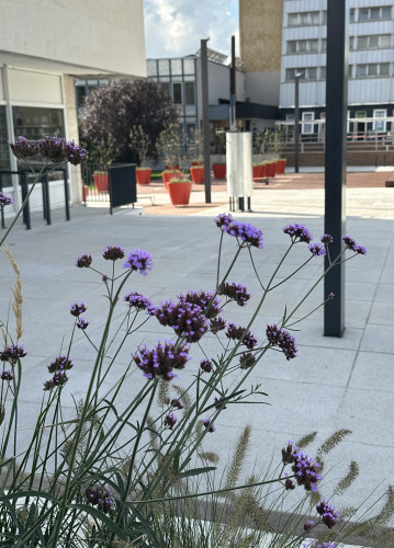 Designové květináče doplňující veřejný prostor