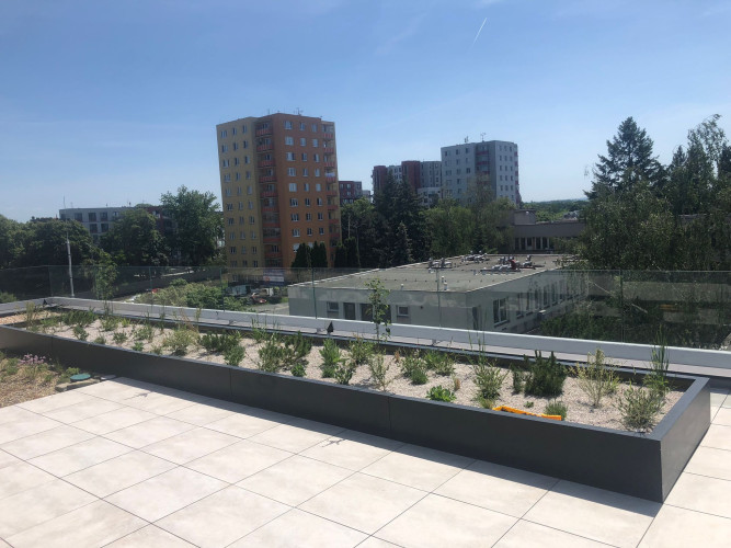 Vyvýšené záhony s bohatou výsadbou