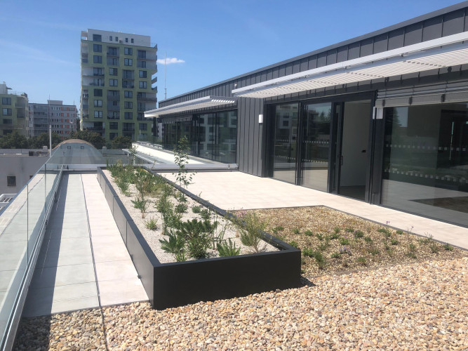 Vyvýšené záhony s bohatou výsadbou