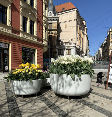 Sklolaminátové květináče v centru města