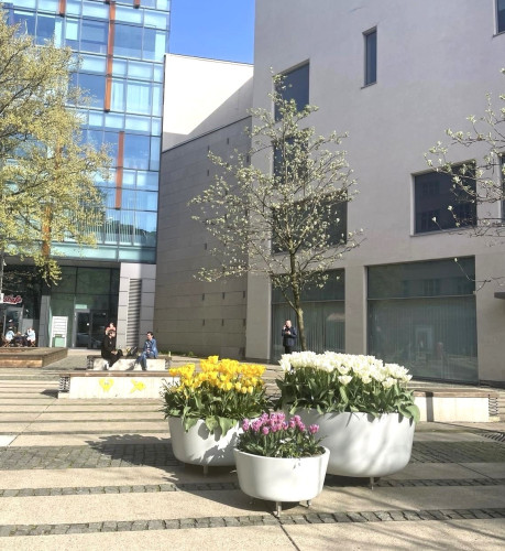 Sklolaminátové květináče v centru města