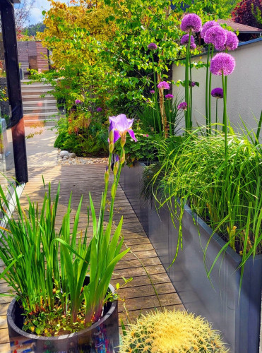 Venkovní květináče u řadového domu