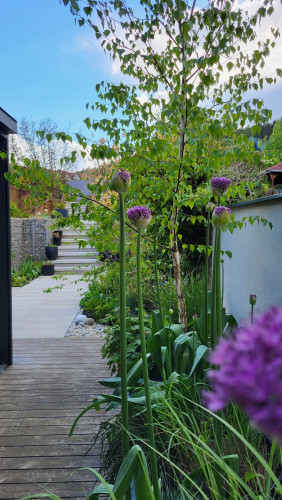 Venkovní květináče u řadového domu