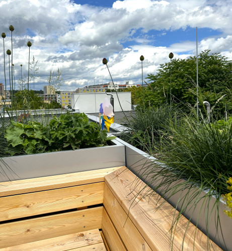 Designové květináče na terase Fyzikálního ústavu