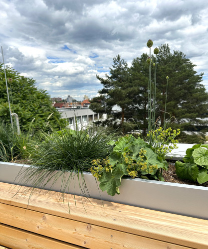 Designové květináče na terase Fyzikálního ústavu