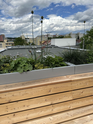 Designové květináče na terase Fyzikálního ústavu