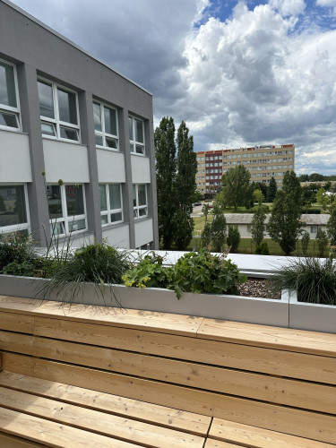 Designové květináče na terase Fyzikálního ústavu