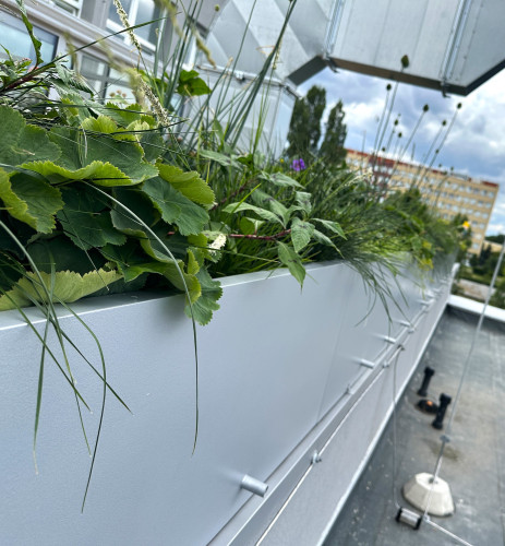 Designové květináče na terase Fyzikálního ústavu