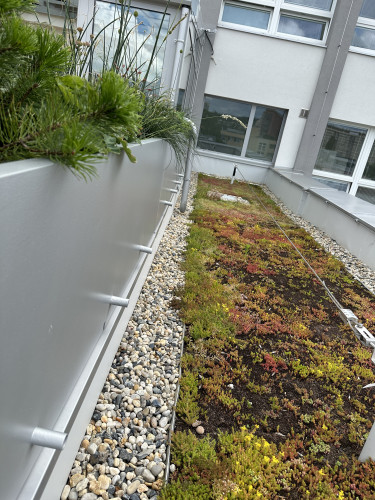 Designové květináče na terase Fyzikálního ústavu