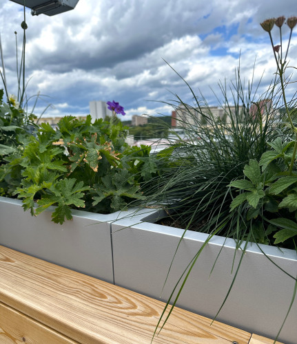 Designové květináče na terase Fyzikálního ústavu