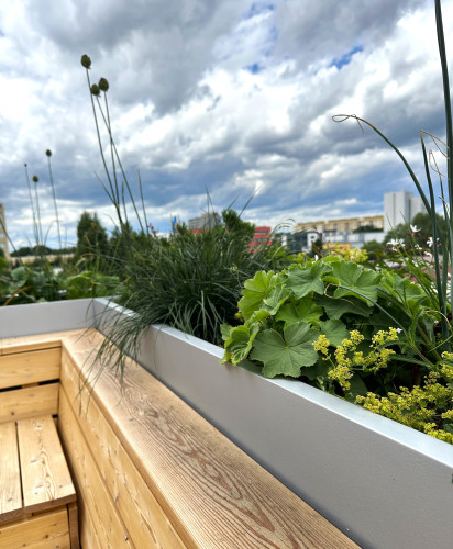 Designové květináče na terase Fyzikálního ústavu