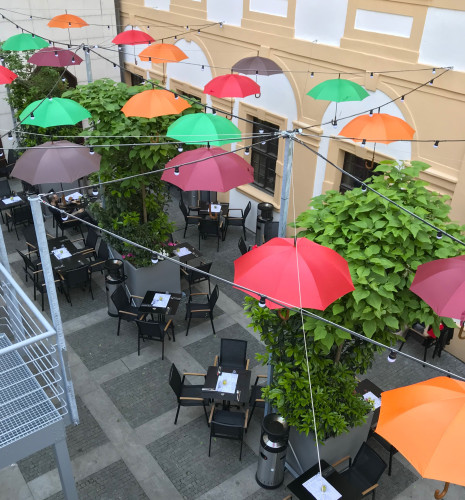 Designové květináče se vzrostlými stromy