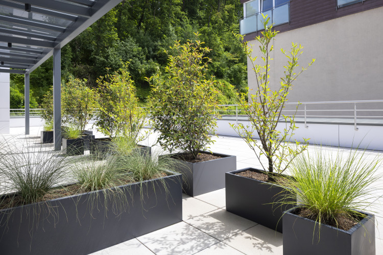 Venkovní květináče na terase Gastrocentra Trenčín